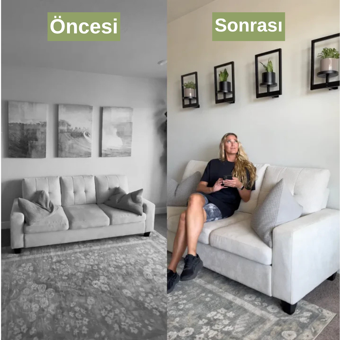 Yaşayan Sanat Bitki Çerçevesi